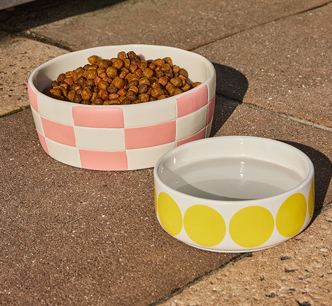 dishes for pet food and water