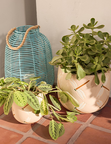 Shop Outdoor